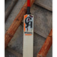 CA Vision 3000 tennis ball - tape ball cricket bat
